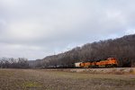 Eastbound BNSF Tanker Train at Weston Bend State Park